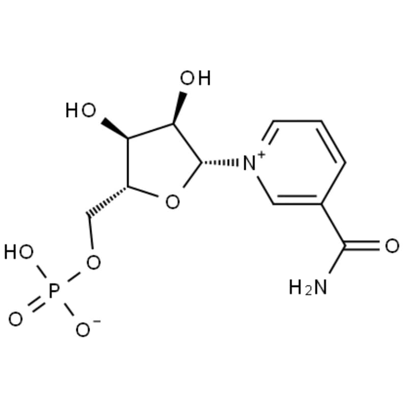 Mononucleotídeo β-nicotinamida