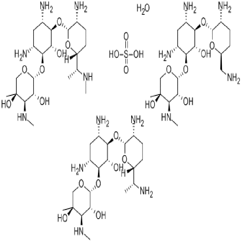 sulfato de gentamicina